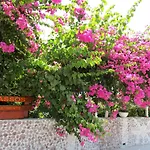 Tassos Apartments