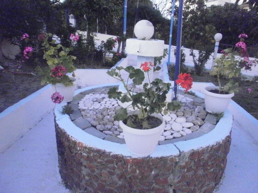 Tassos